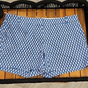 J. Crew Blue and White Athletic Shorts with Geometric Pattern